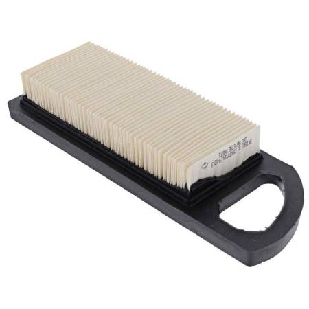 790263 Air Filter/Cleaner #