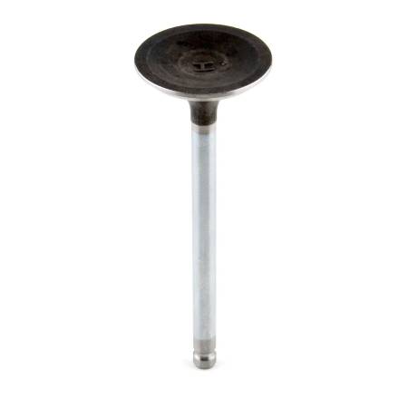 792868 Valve-Exhaust #