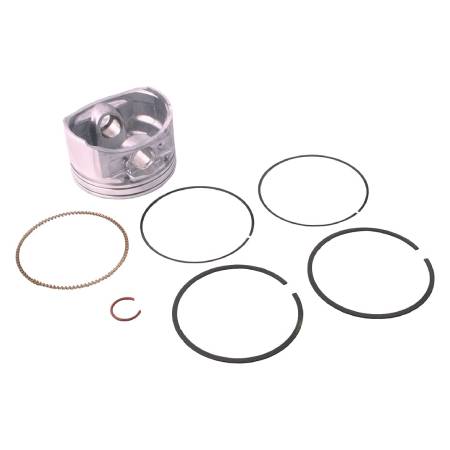 793647 Piston Assembly #