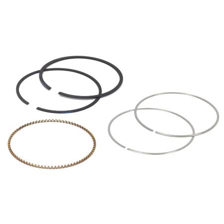 795690 Ring Set #