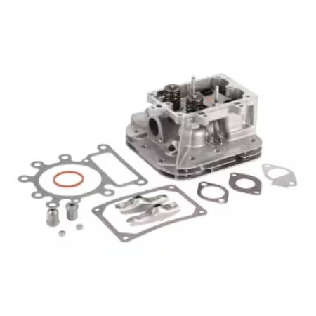 796183 Cylinder Head Assembly #
