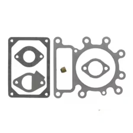 796189 Gasket Set-Valve #1