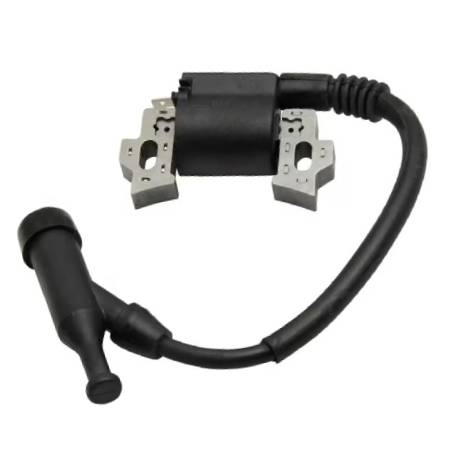 797343 Ignition Coil/Amature