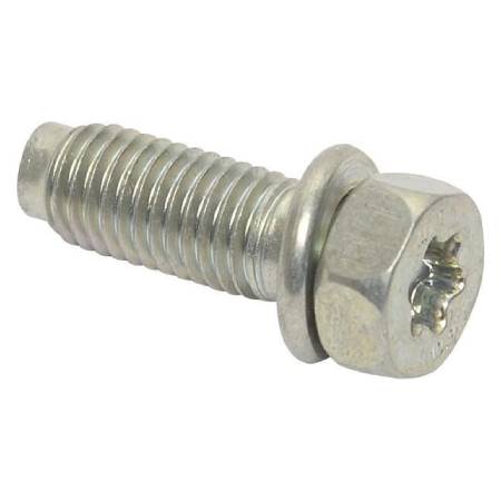 798517 Screw -  Muffler/Exhaust #