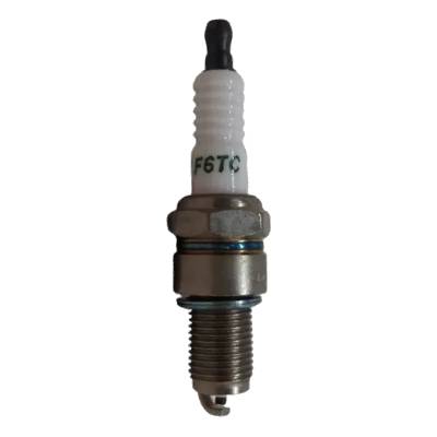 798615 Spark Plug - OHV (F6TC)