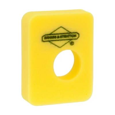 799579 Air Filter/Cleaner