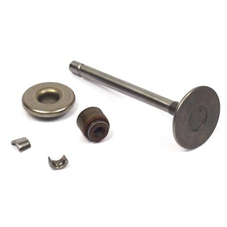 807680 Intake Valve #