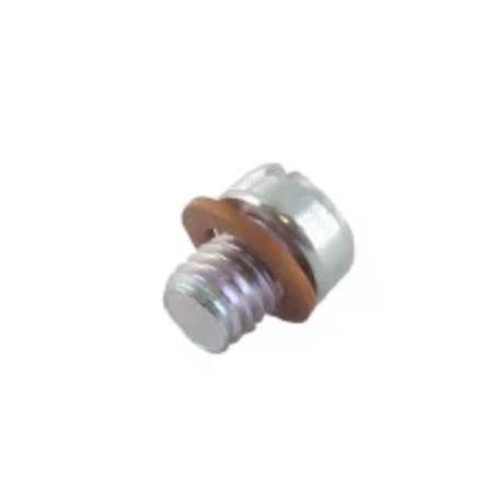 807714 Carburettor Plug #1