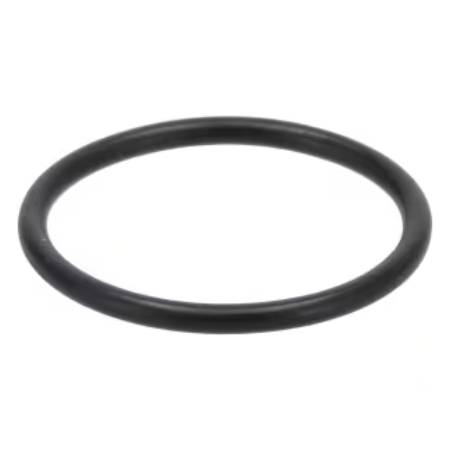 809894 Seal/O-Ring #