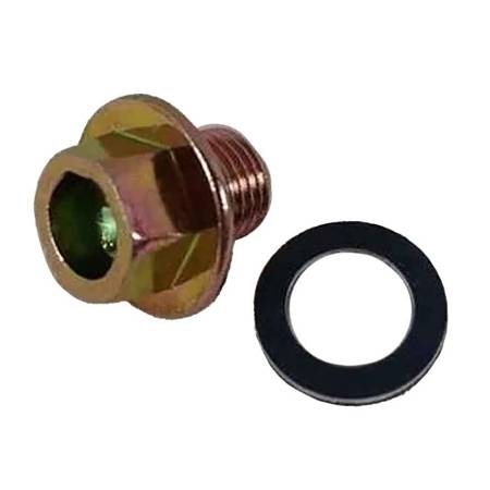 825043 Oil Drain Plug #