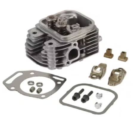84002011 Cylinder Head Assembly #