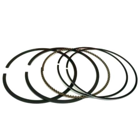 84004091 Piston Ring Set - Std #