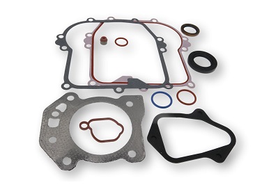 84006591 Gasket Set, Engine (595354)