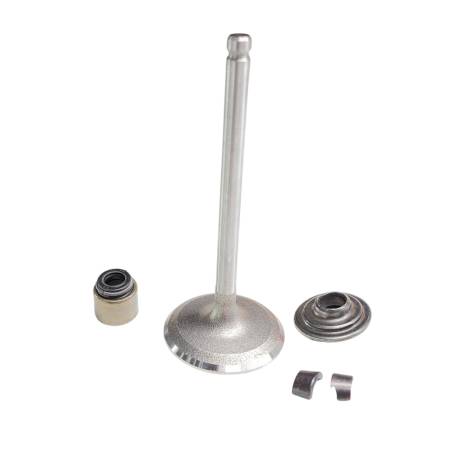84013513 Intake Valve #2