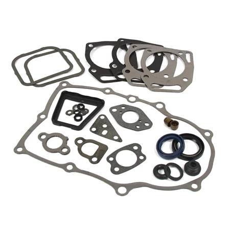841188 Gasket Set-Engine #