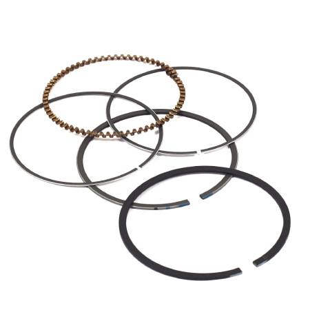843953 Piston Ring Set #1