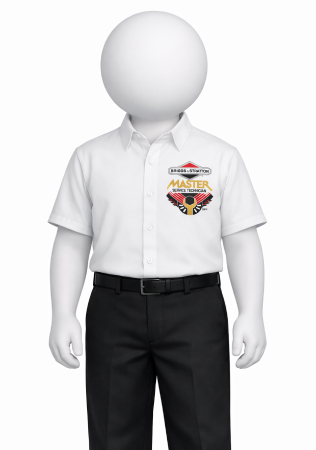 Q = Are you an authorised Briggs & Stratton dealer?