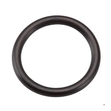 270344S O-Ring/Seal (Inlet)