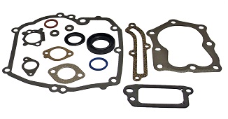 496117 Gasket Set 