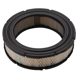 692519 Air Filter/Cleaner