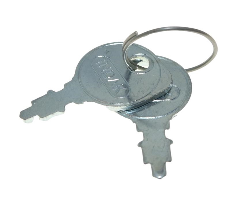 691959 Ignition Key Set (Indak Style)