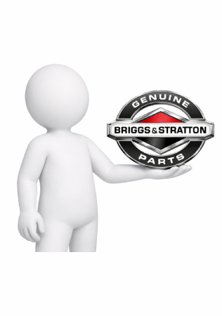 Q = Can I use non-genuine parts, and what are the risks? Q = Can I use non-genuine parts, and what are the risks?