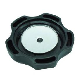 Briggs and Stratton 795027 493988S Fuel Tank Cap