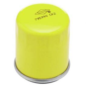 Briggs and Stratton 795990 Intek Edge 800E 850E 875EX Oil Filter